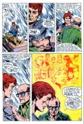 Firestorm Annual