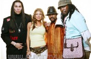 Black Eyed Peas (Стейси Фергюсон) 1a950c299528215
