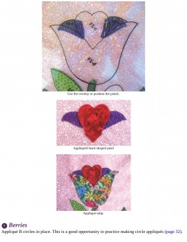 imagebam.com