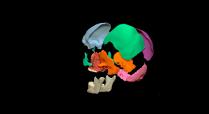 imagebam.com