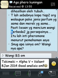 ImageBam image upload