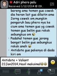 ImageBam image upload