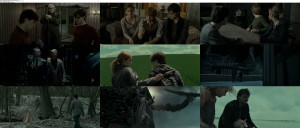 Download Harry Potter and the Deathly Hallows: Part 1 (2010) BluRay 1080p 5.1CH x264 Ganool 