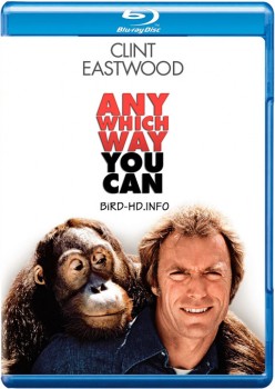 Any Which Way You Can 1980 m720p BluRay x264-BiRD Any Which Way You Can 1980 m720p BluRay x264-BiRD