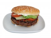 Гамбургер, бургер, чисбургер (fast food) 9b1619336612096