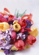 Праздничные цветы / Celebratory Flowers (200xHQ) 1b13a6337465254