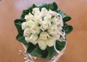 Праздничные цветы / Celebratory Flowers (200xHQ) 4f09f3337465568