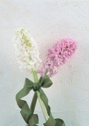 Праздничные цветы / Celebratory Flowers (200xHQ) 5dd548337465200