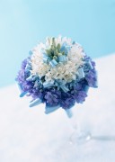 Праздничные цветы / Celebratory Flowers (200xHQ) 6609cb337465872