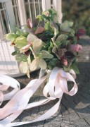 Праздничные цветы / Celebratory Flowers (200xHQ) A0e83b337465827