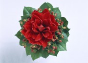 Праздничные цветы / Celebratory Flowers (200xHQ) B84ebb337466423