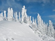 Winter / Зима - (166xHQ)  2835ca337519388