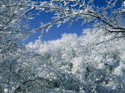 Winter / Зима - (166xHQ)  47721d337519580