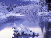 Winter / Зима - (166xHQ)  9d3151337518686