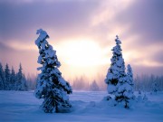 Winter / Зима - (166xHQ)  A1f543337519428