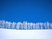 Winter / Зима - (166xHQ)  C5b3c4337519686