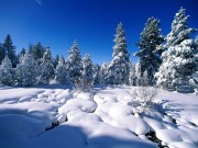 Winter / Зима - (166xHQ)  F9e94e337519497