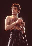 Queen и Freddie Mercury B5f5d2338229611