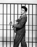 Тюремный рок / Jailhouse Rock (Элвис Пресли, 1957)  1d692c338263055