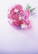 Цветы / Images of flowers (200xHQ) Ea6812338290007