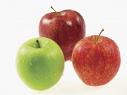 Свежие фрукты, овощи, еда на белом фоне / Fresh & Healthy (46xUHQ) Efdcce338292594
