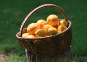 Обильный урожай фруктов (195xHQ) 0d733d338640597