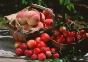 Обильный урожай фруктов (195xHQ) C38cc2338640188