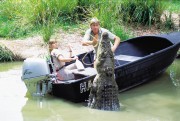 Охотник на крокодилов: Схватка / The Crocodile Hunter Collision Course (2002) (11xHQ) 98a14f342789269