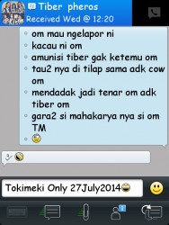 ImageBam image upload