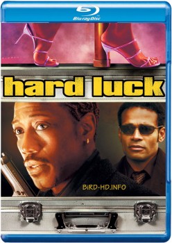 Hard Luck 2006 m720p BluRay x264-BiRD Hard Luck 2006 m720p BluRay x264-BiRD