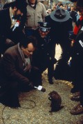 День сурка / Groundhog Day (1993) C78872355522235