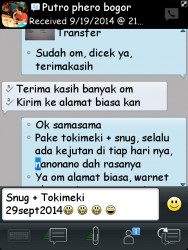 ImageBam image upload