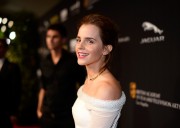http://thumbnails109.imagebam.com/36159/58c9d2361586592.jpg