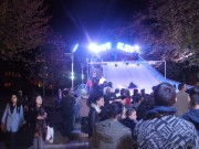 imagebam.com