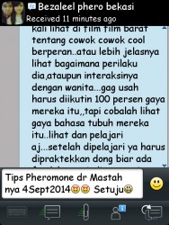 ImageBam image upload