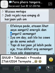 ImageBam image upload