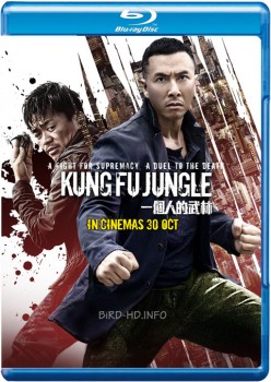 Kung Fu Jungle 2014 m720p BluRay x264-BiRD Kung Fu Jungle 2014 m720p BluRay x264-BiRD