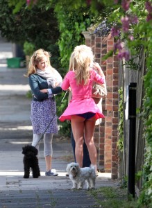 ImageBam image upload