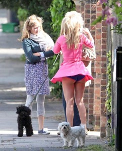 ImageBam image upload