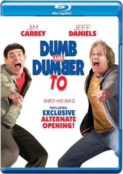 Dumb and Dumber To 2014 m720p BluRay x264-BiRD Dumb and Dumber To 2014 m720p BluRay x264-BiRD