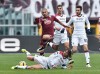 Фотогалерея Torino FC - Страница 4 468e95390409069